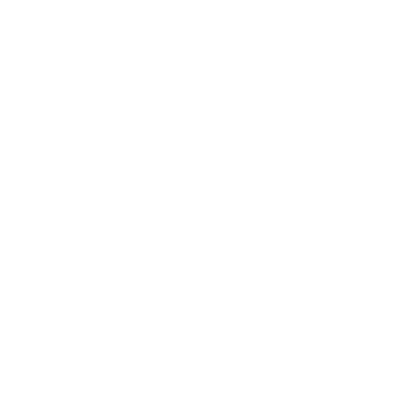 ticket stub with plane icon