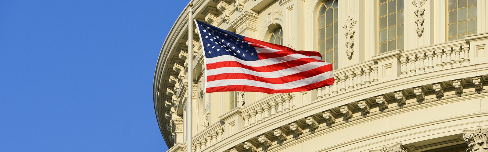 Capitol Building American Flag