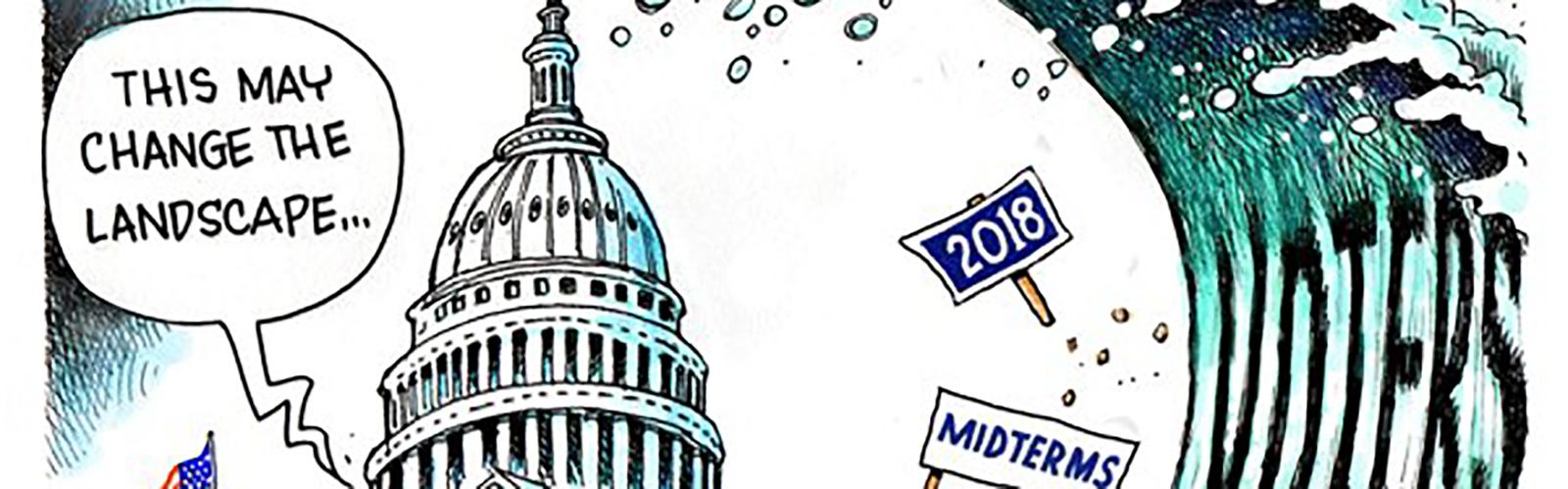 Political Cartoon 2018 Midterm elections